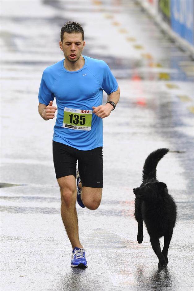  trka zadovoljstva gorica  