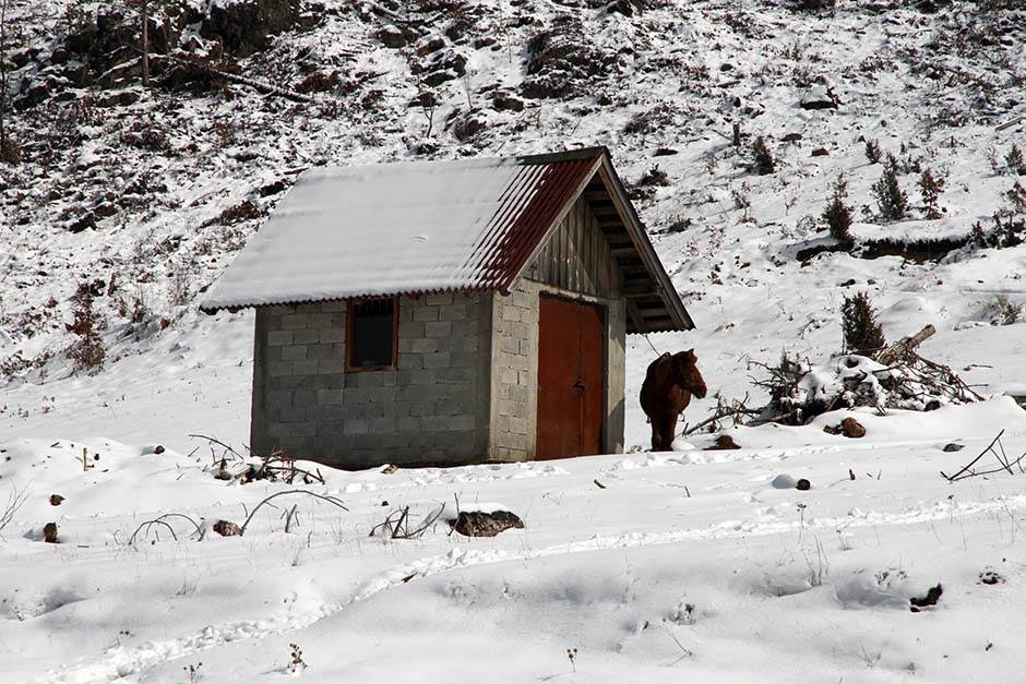  U Sloveniji kao usred zime: Sneg 40 cm, a i...  