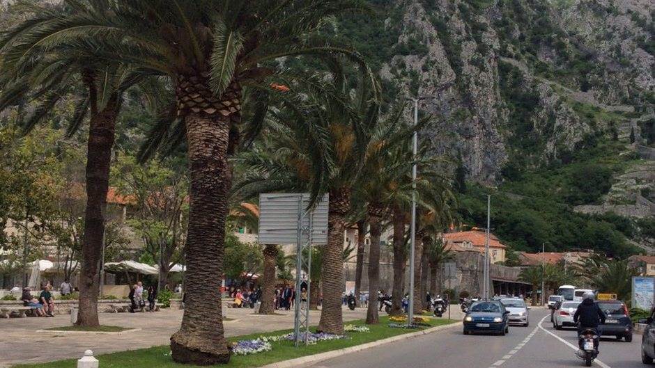  Pretresi u Kotoru: Vukotiću oduzeti automobili 