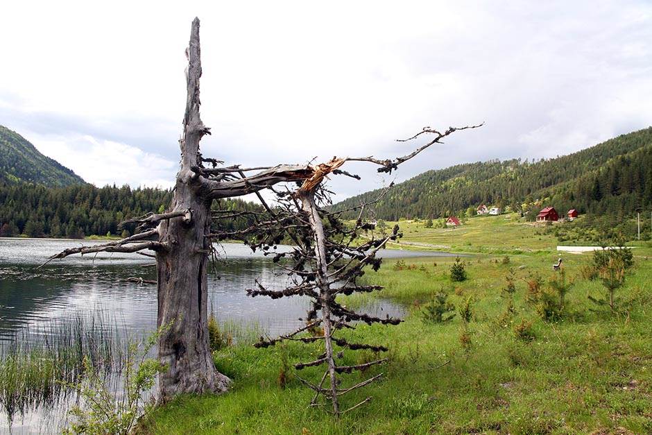  Nacionalni parkovi: Durmitor rekorder u posjetama  