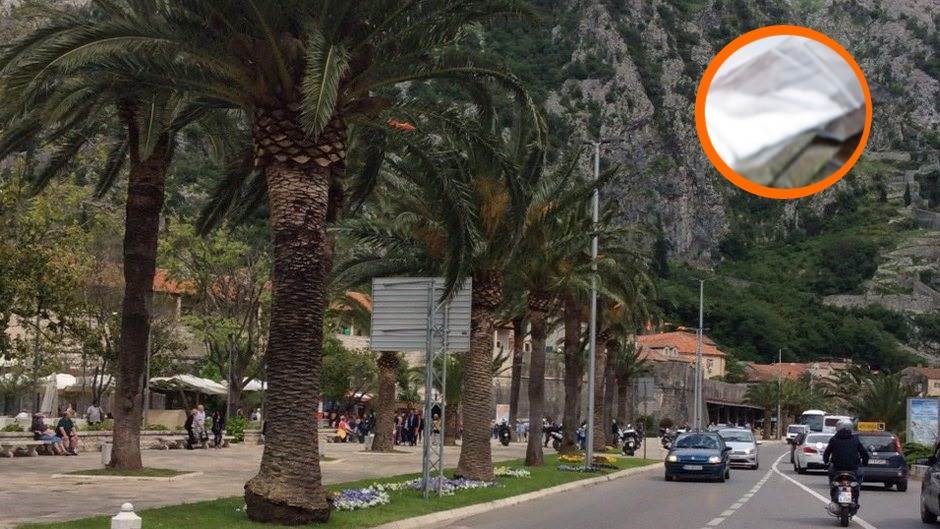  Kotoranin uhapšen po potjernici, oduzeta droga 