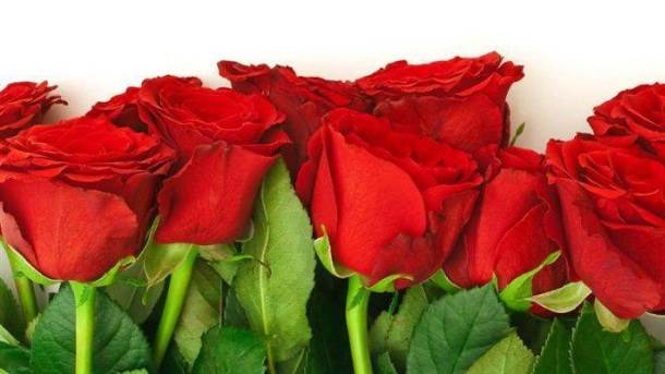  Sjutra Dan žalosti zbog smrti vojnika tokom gašenja požara 