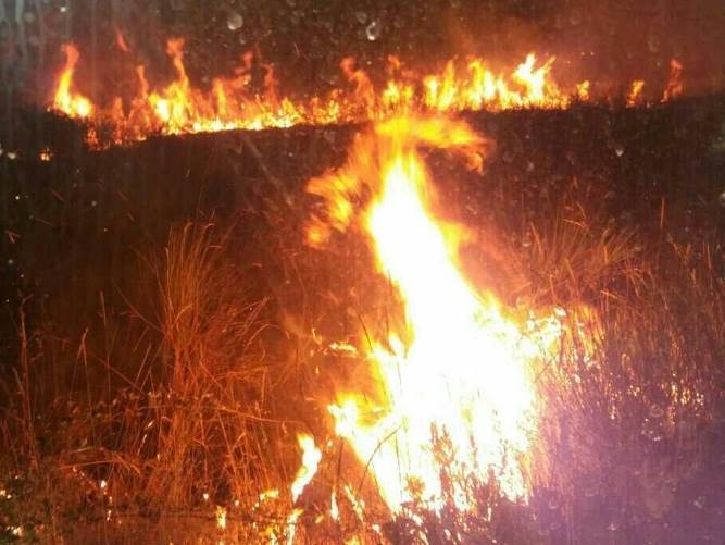  Kolašin: Požar u Ljutoj aktivan već tri dana 