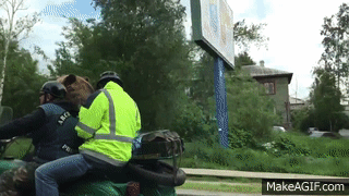  APSOLUTNO LUDILO: Medvjed na motoru! (VIDEO) 