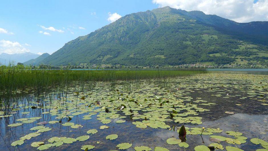  Svjetska banka potvrdila da će se u narednom periodu posvetiti zaštiti i revitalizaciji Plavskog jez 