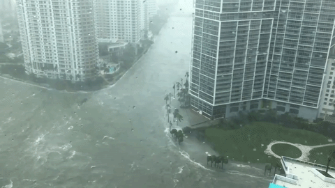  Irma kida na Floridi, rijeke teku ulicama (VIDEO) 