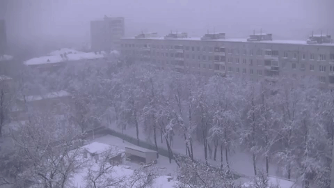  Snežna apokalipsa u Moskvi  (FOTO/VIDEO) 