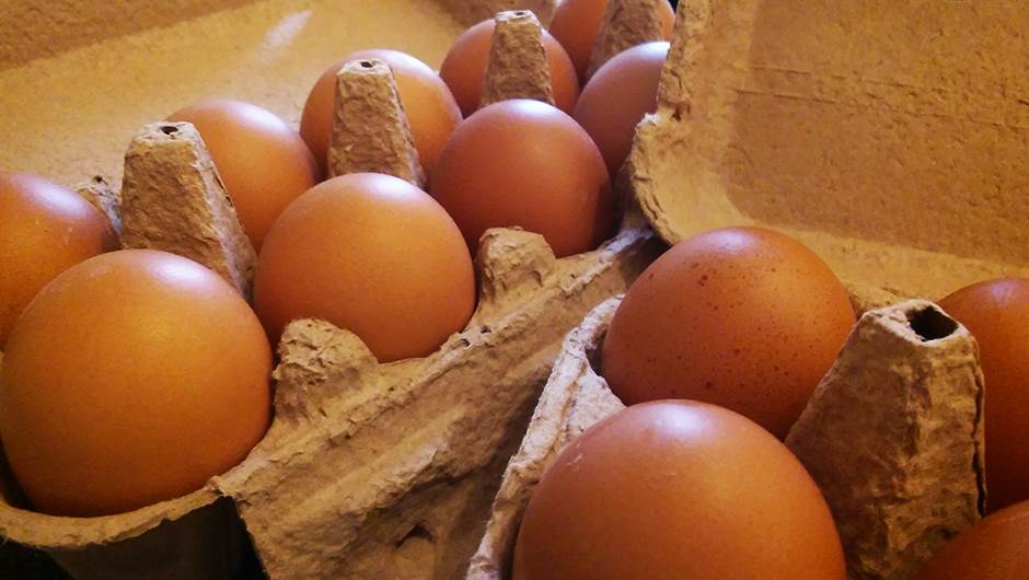  Zbog salmonele uklonjeno 11.730 komada jaja 