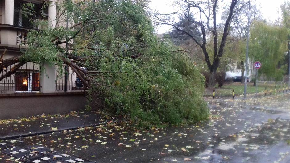  Hrvatska: Olujno nevrijeme rušilo dalekovode 