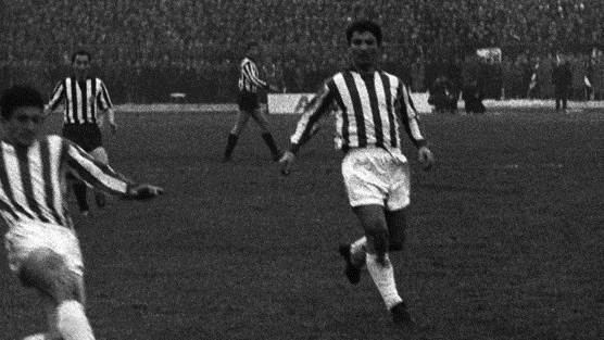  Poređenja Šekularca sa Peleom 