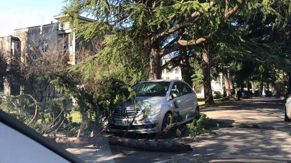  Jak vjetar koji od sinoć duva u Podgorici pričinio je štetu 