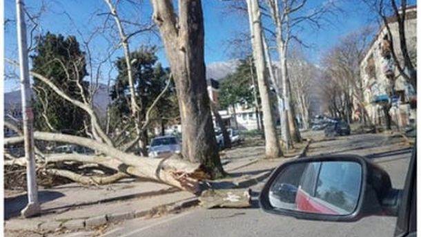  Jak olujni vjetar pričinio je štetu i u Danilovgradu 