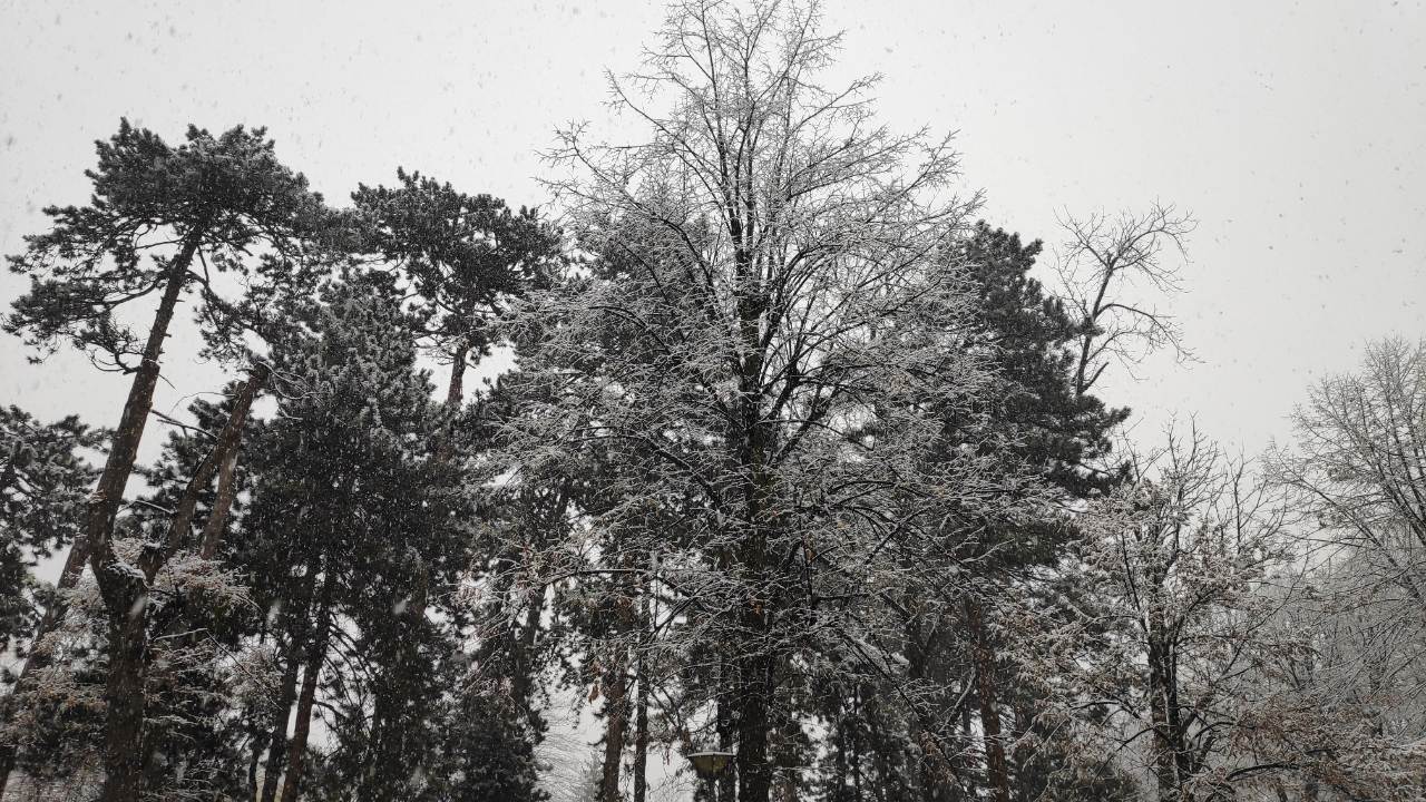  U Austriji i Italiji pao snijeg (VIDEO) 