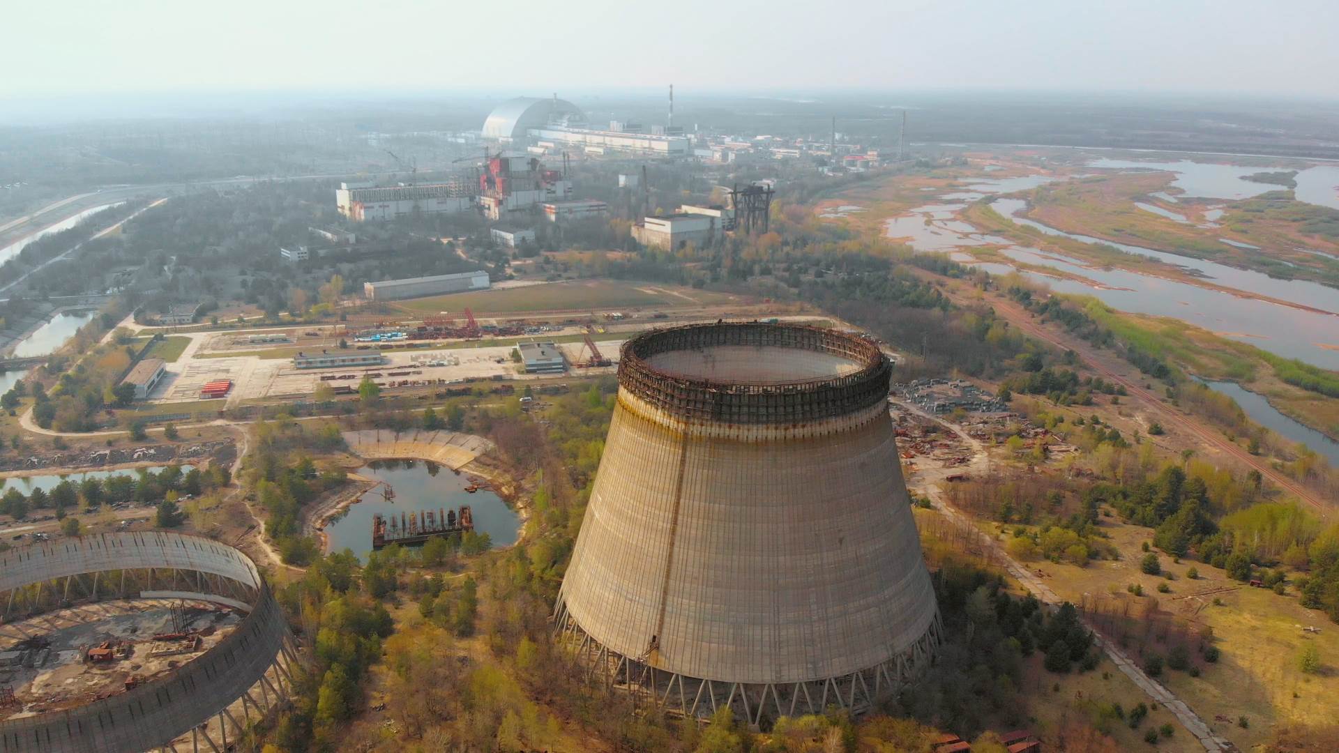  U černobiljskom reaktoru pronađena gljivica koja JEDE radijaciju?! 
