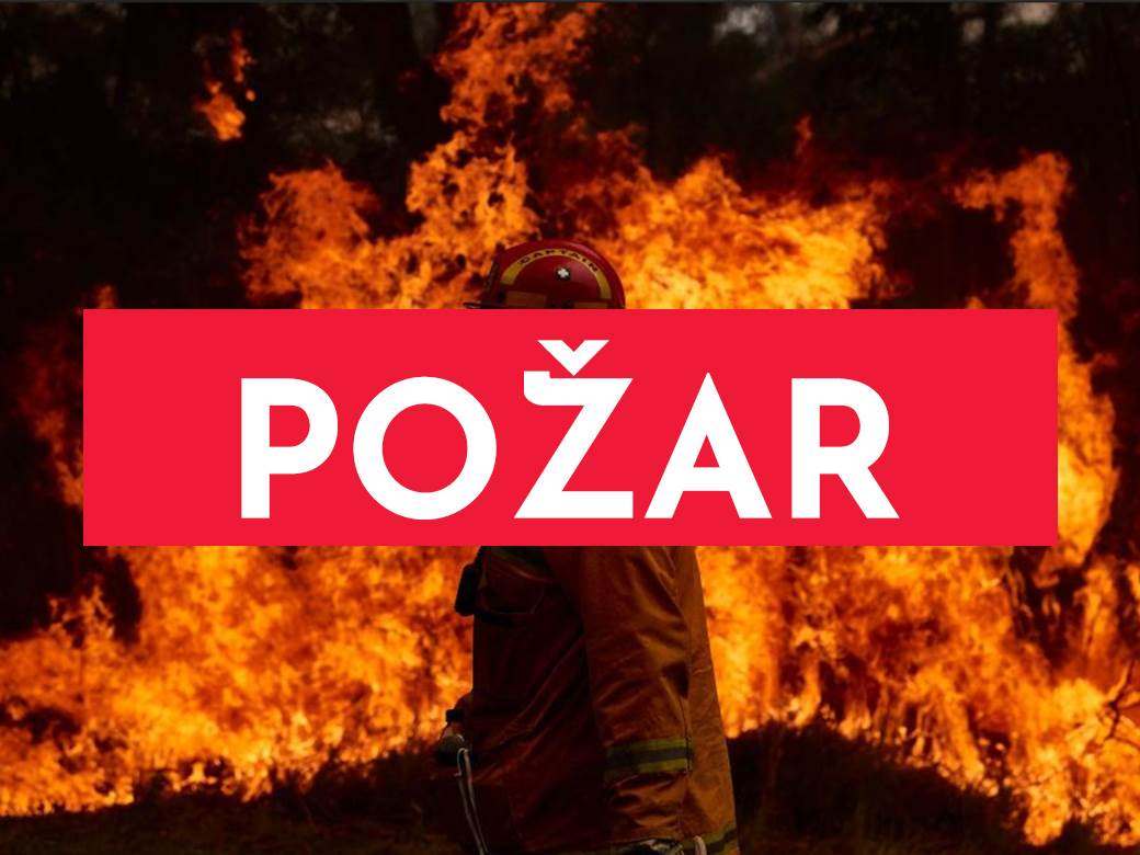  APOKALIPTIČNA SLIKA u Jagodini: Izgorelo 14 automobila 