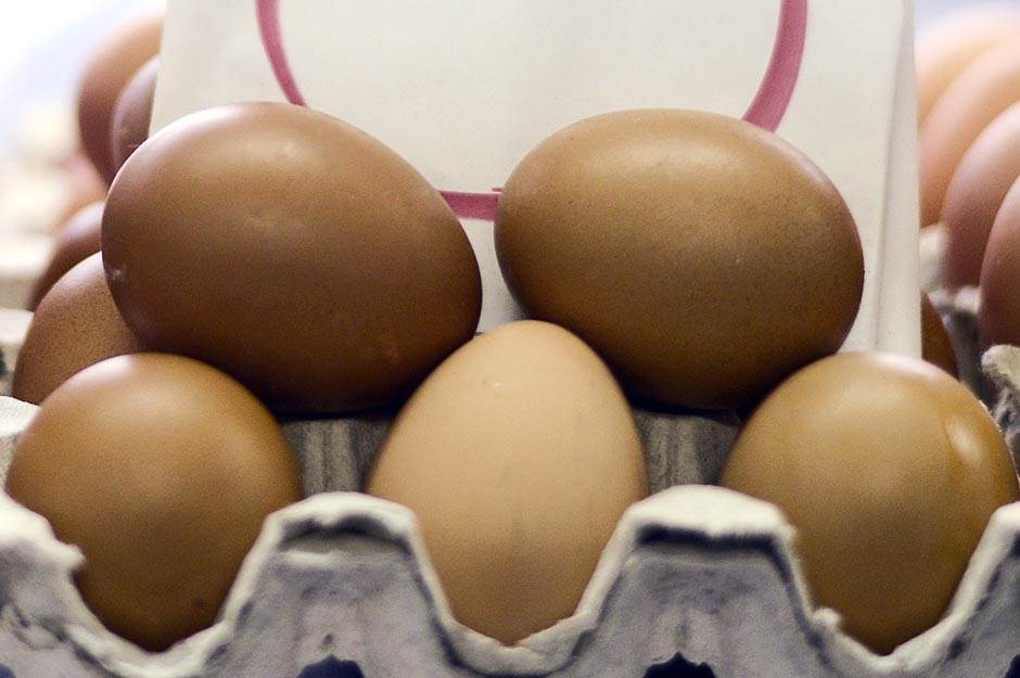  Amerikanci zbog korone otkrili kuvanje, navala na jaja 