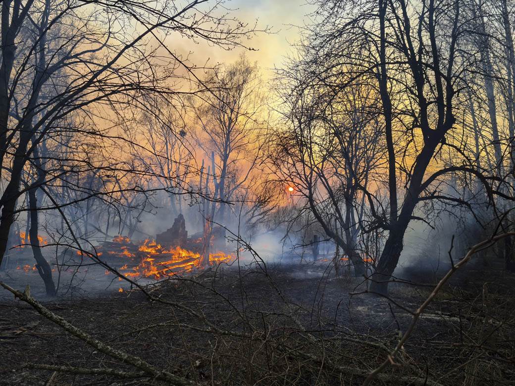  Na Žabljaku gori mlada borova šuma, vatra prijeti Nacionalnom parku Tara 