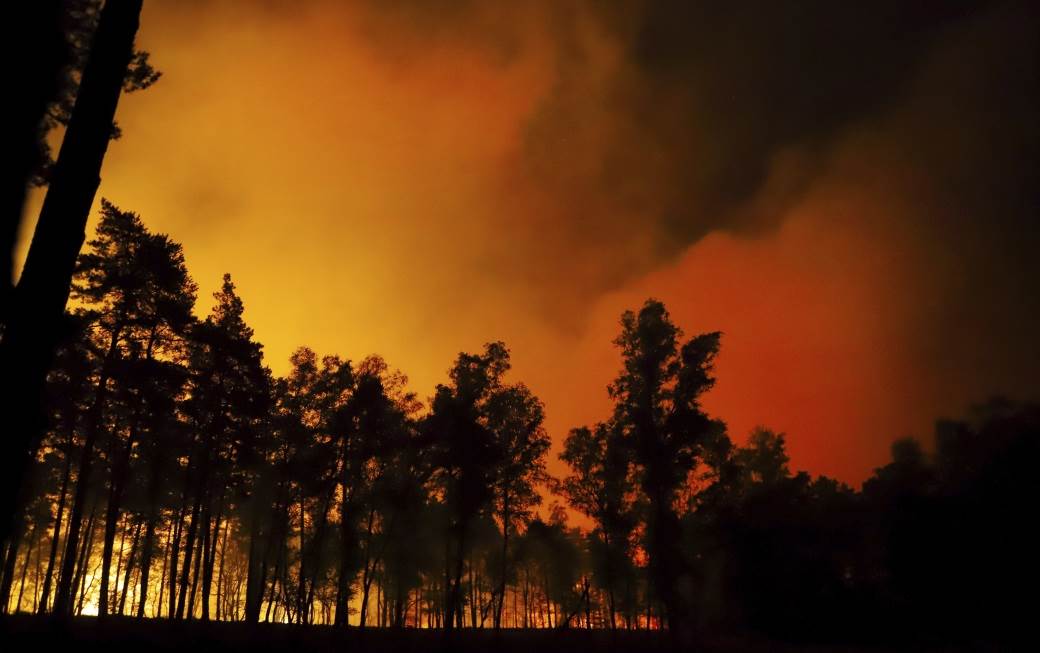  Požar na Braču: Gori gusta borova šuma, bura otežava vatrogascima 