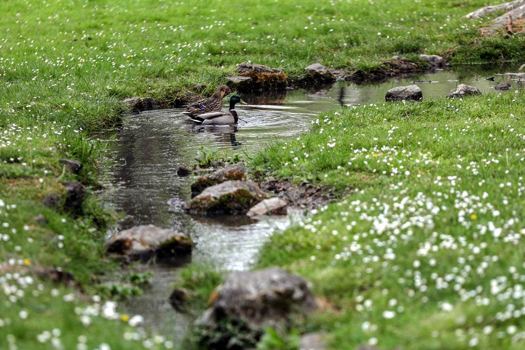  Park zatvoren opet posle pet dana, 9.000 ljudi uhvaćeno bez maske! 