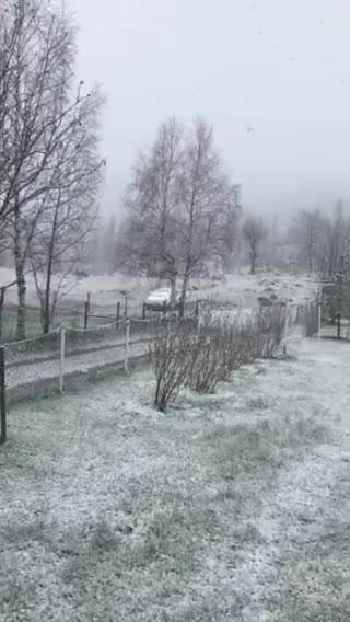  studeno zarobljeni u snijegu 