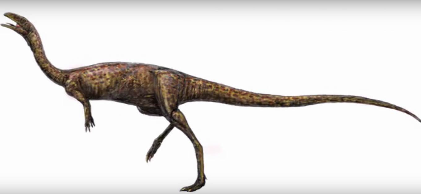  Ima li kraja čudima Australije: Nađen dugački bezubi dinosaurus 