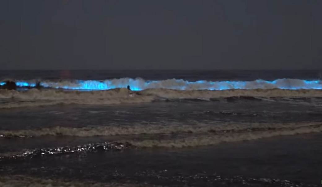  Čudo prirode: Pogledajte ovaj rijedak fenomen na plažama (VIDEO) 
