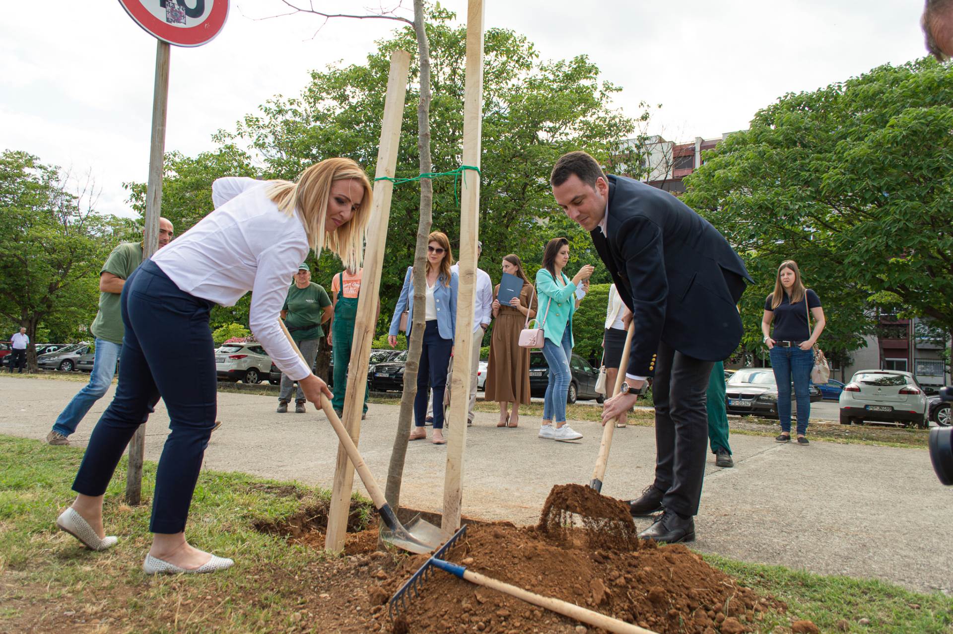 Akcija "Moje drvo za Planetu": Podgorica na poklon dobila 37 stabala 