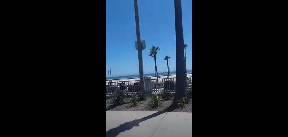  Korona opustošila i američke plaže! (VIDEO) 