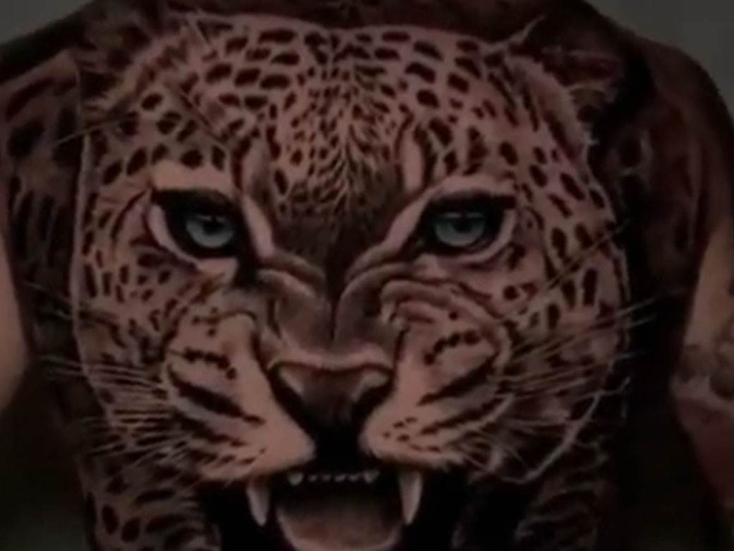  FOTO I VIDEO: Preko celih leđa fudbalera Napolija FRKĆE Leopard! 