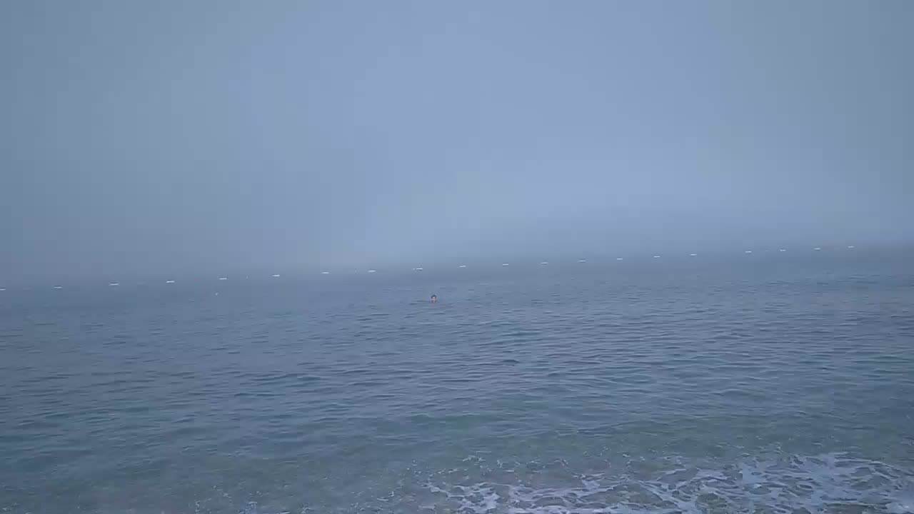  Al Dino o događaju u Šušnju  