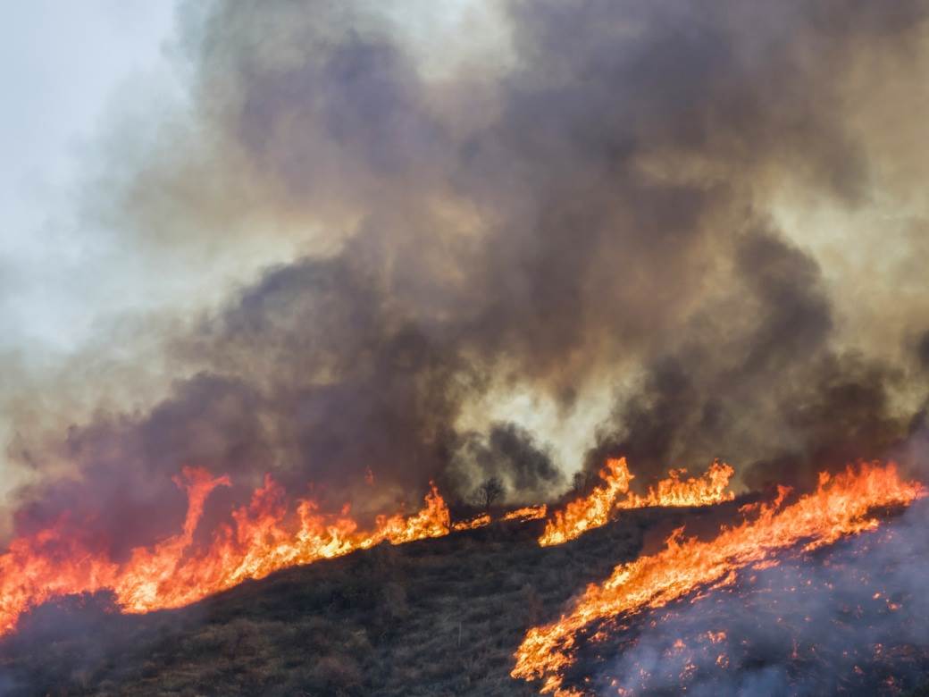  Oblast Marseja u Francuskoj GORI: Vatra se neverovatnom brzinom širi, povređene su 22 osobe, turisti se HITNO evakuišu 