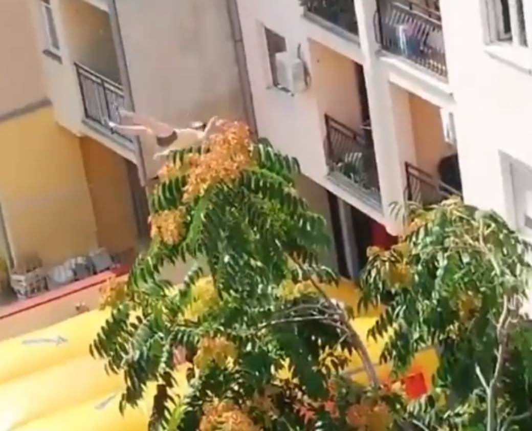  HOROR U NOVOM SADU: Muškarac skočio sa zgrade  (UZNEMIRUJUĆ VIDEO) 