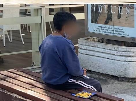  PROBLEM PROSJAČENJA: Koji su načini suzbijanja i kontrole? 