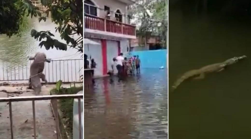  STRAŠNO! KROKODILI PLIVAJU PO ULICAMA U MEKSIKU: Jezivi snimci nakon poplave obišli svet! (VIDEO) 