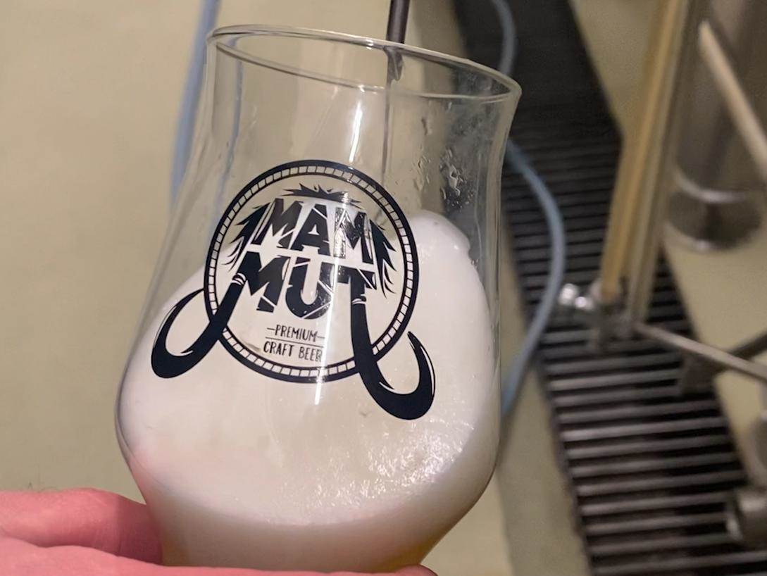  MAMUT: Umjetnost izrade CRAFT PIVA (VIDEO) 