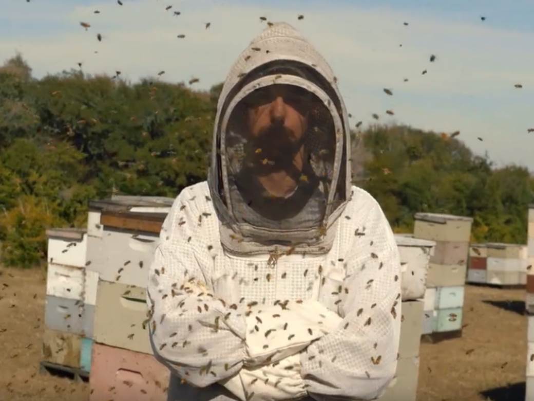  SAMO PRAVI PČELARI ZNAJU ISTINU! Zašto kažemo "upala mu sekira u med"? 