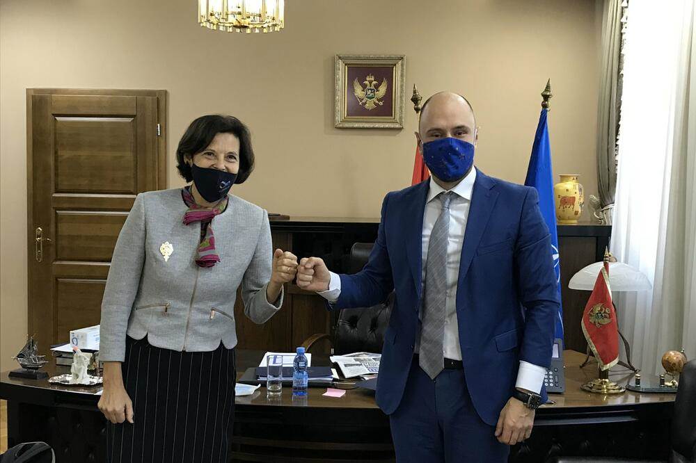  JANKOVIĆ: Snažna podrška Austrije evropskom putu Crne Gore 