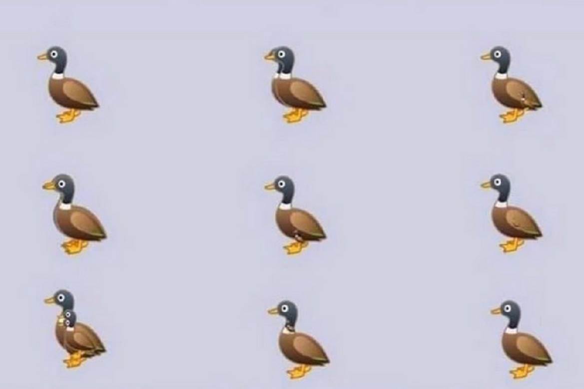  MOZGALICA ZALUDELA INTERNET, NIKO NE ZNA TAČAN ODGOVOR: Koliko patkica vi vidite? (FOTO) 
