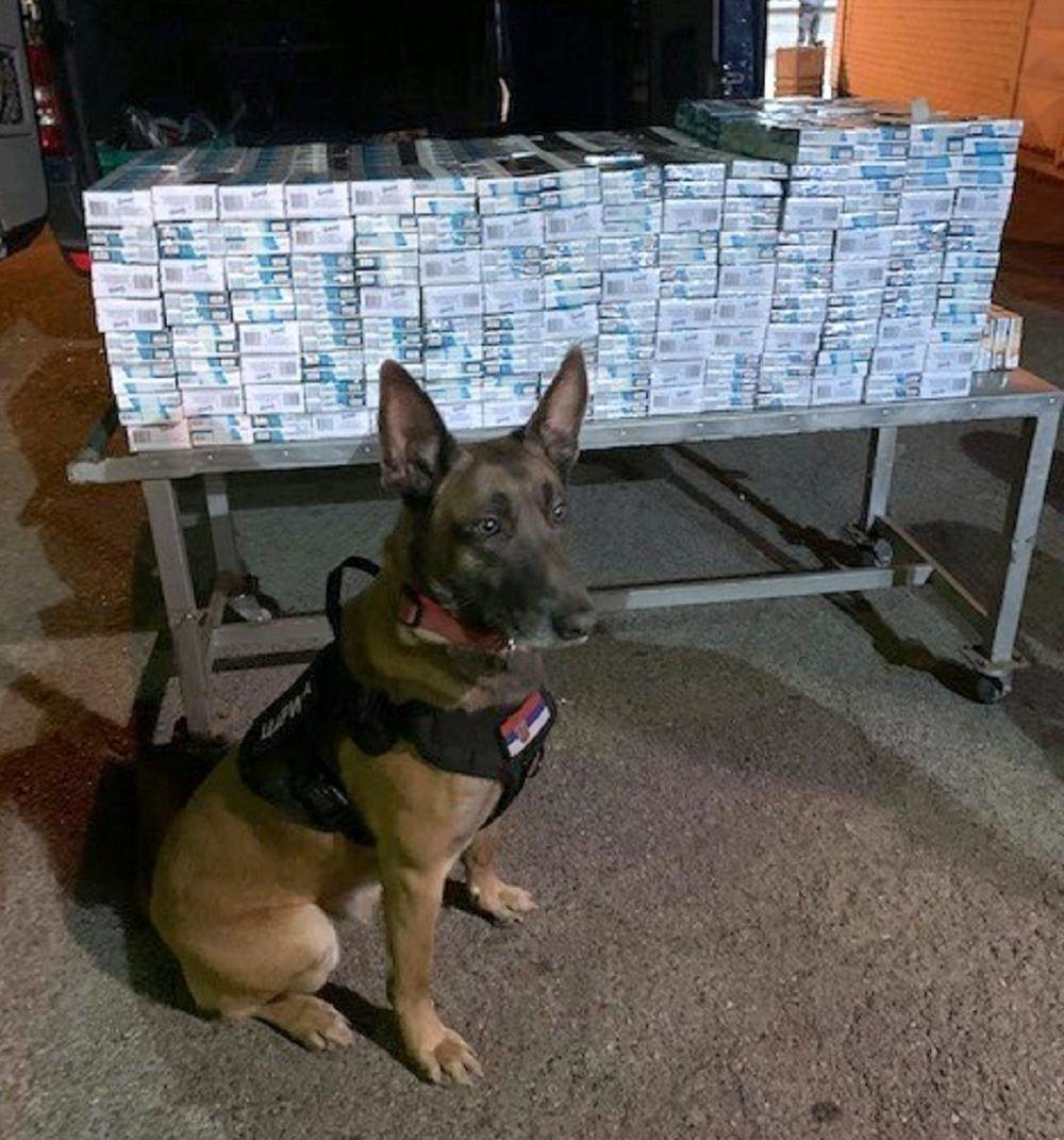  NERONU NE MOŽE NI MUVA DA PROLETI: Nepogrešiva njuška otkrila ogromnu količinu švercovane robe (FOTO) 