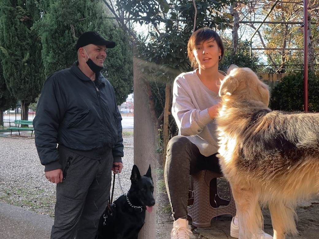  DRESURA PSA, KOLIKO TRAJE I ŠTA TREBA DA ZNATE O NJOJ! 