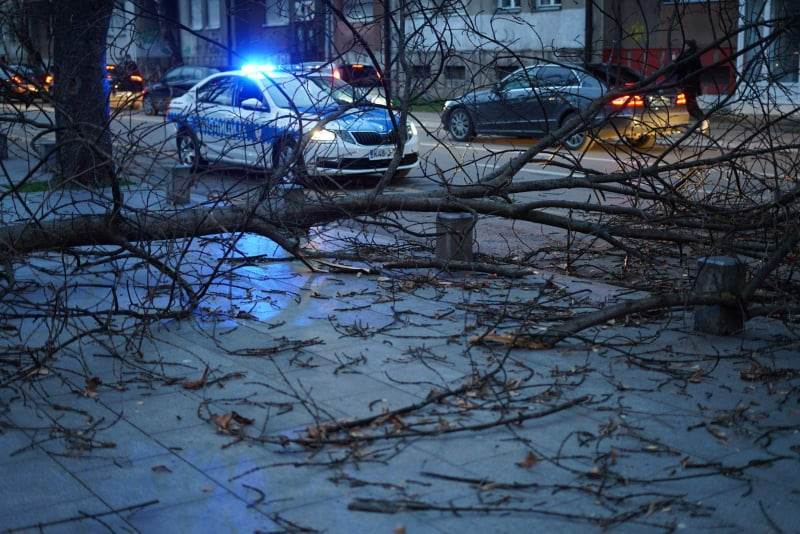  HAOS U BANJA LUCI: Vjetar RUŠIO STABLA  