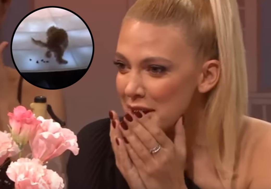  PAS MILICE TODOROVIĆ SE UNEREDIO USRED EMISIJE: Obavio nuždu nasred studija, pjevačicina reakcija NA 