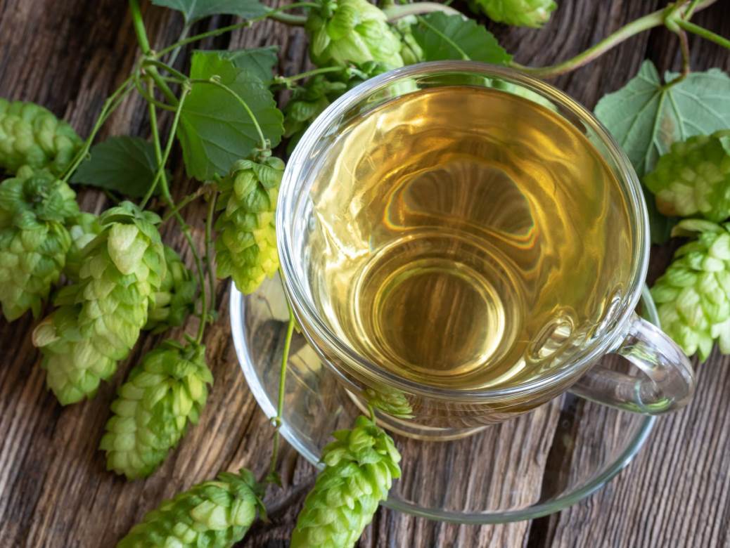  hmelj-caj-protiv-nesanice-stresa-umora 