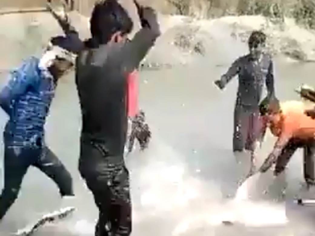  delfini-indija-ugrozena-vrsta-ubistvo-video. 