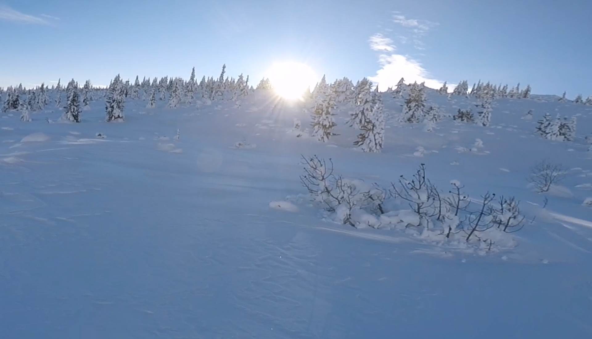   Netaknuta priroda planine Hajla 