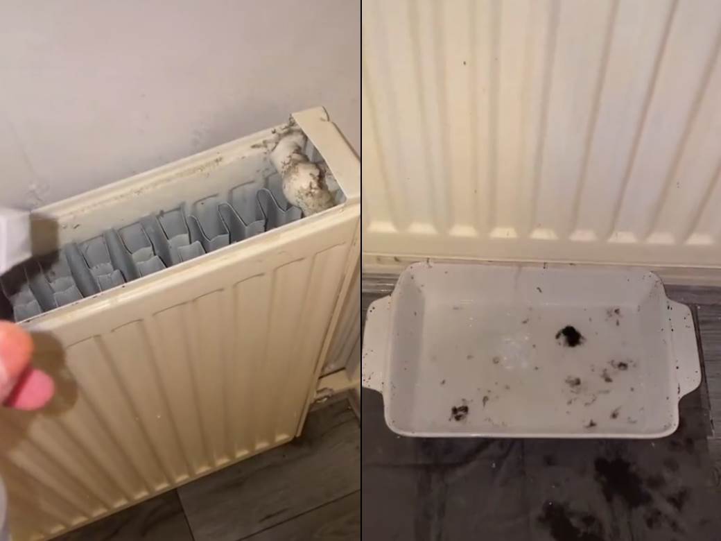  OTVORILA JE RADIJATOR, A ONO ŠTO JE UNUTRA ZATEKLA JE ZGROZILO SVE: Odmah ćete poželeti da operete svoj! (VIDEO) 