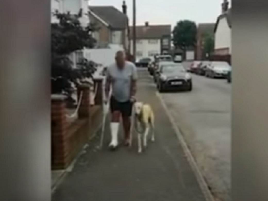 POKAZAO SVOJU ODANOST: Povređen vlasnik nije mogao da veruje - pas je zbog njega uradio NEVEROVATNU stvar! (VIDEO) 