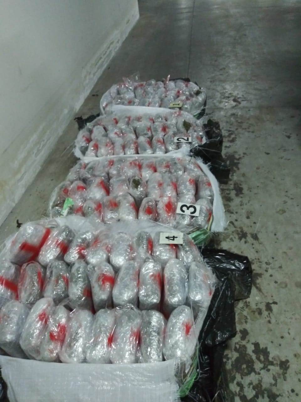  UPRAVA POLICIJE: Pronađeno 114 kilograma skanka u kanjonu rijeke Cijevne 