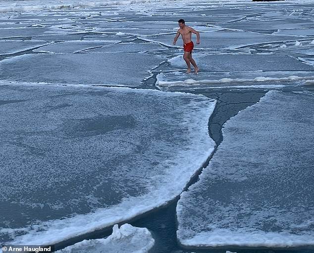 arne uskace u ledene vode arktika 