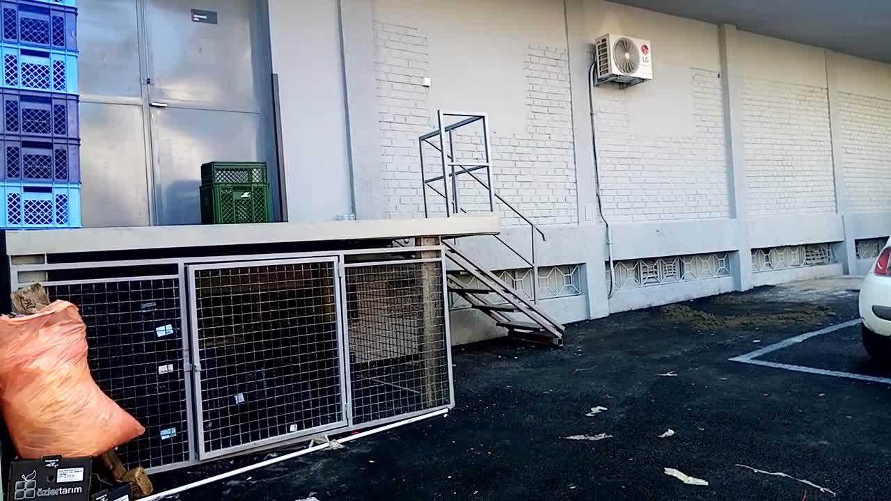  MASKIRAO SE U STARCA PA IZREŠETAO ZORANA USKOKOVIĆA: Oslanjao se na štap, a onda je izvadio pištolj! 